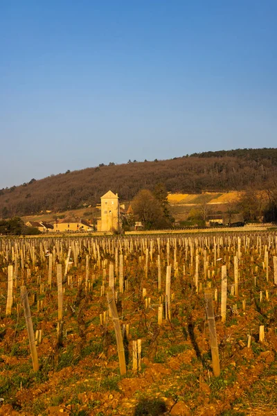 Zamek Gevrey Chambertin Burgundia Francja — Zdjęcie stockowe