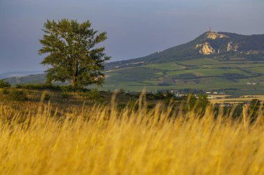 Dolni Dunajovice yakınlarındaki Palava manzarası