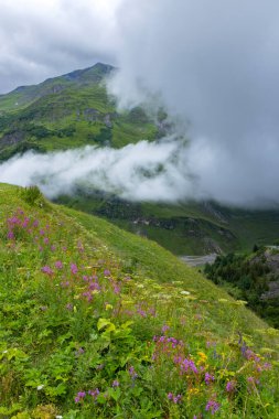 Grandes Alpes Yolu yakınlarındaki manzara, Savoy, Fransa
