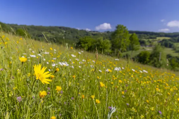 Типичный Весенний Пейзаж Белых Карпатах Возле Старого Грозенкова — стоковое фото
