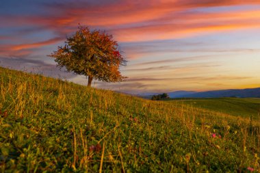 Doğu Slovakya 'daki Karpat Dağları' nın gün batımı manzarası