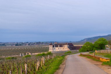 Clos de Vougeot yakınlarındaki tipik üzüm bağları, Cote de Nuits