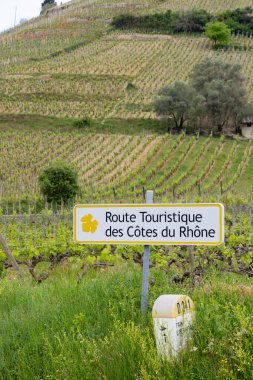Tain l 'Hermitage yakınlarında şarap yolu (Route Touristique des Cotes du Rhone) olan tipik üzüm bağları