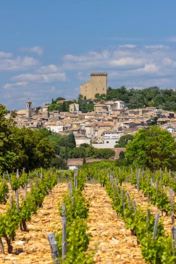 Tipik üzüm bağları, Chateauneuf-du-Pape yakınlarında taşlar.