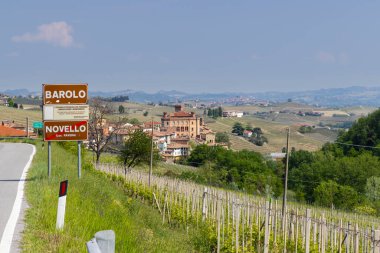 Barolo yakınlarındaki tipik üzüm bağları, Barolo şarap bölgesi, Cuneo ili.