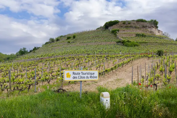 Typical Vineyard Wine Road Route Touristique Des Cotes Rhone Tain — Stock Photo, Image