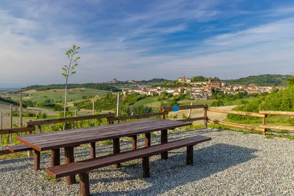 Typical Vineyard Castello Razzano Alfiano Natta Barolo Wine Region Province — Stock Photo, Image