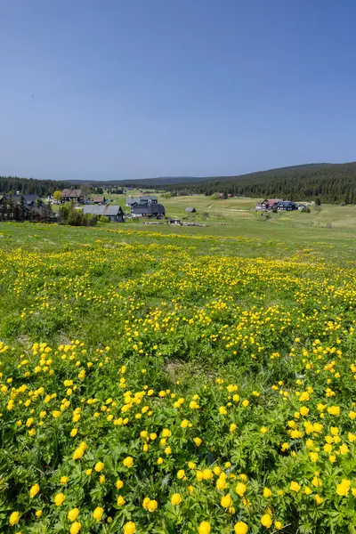 Wiosna Krajobraz Jizerka Pobliżu Korenov Widok — Zdjęcie stockowe