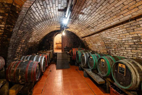 View Wine Cellars Barrels Ivan Southern Moravia Czech Republic — Stock Photo, Image