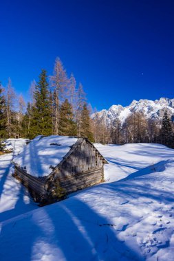 Winter landscape near Vrsic, Triglavski national park, Slovenia clipart