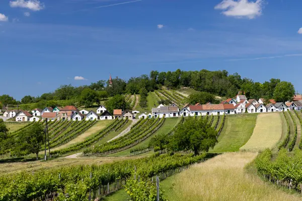 Traditional Wine Cellars Vineyard Galgenberg Wildendurnbach — Stock Photo, Image