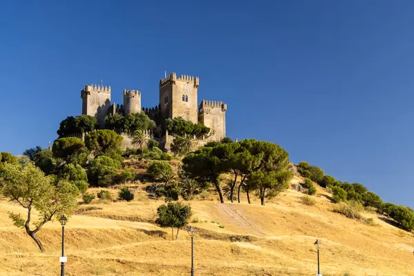 Veduta Del Castello Almodovar Del Rio Andalusia Spagna — Foto Stock