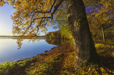 Typical autumn landscape in Trebonsko region in Southern Bohemia clipart