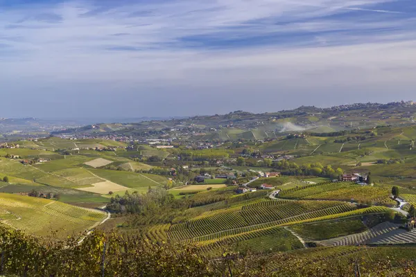Höstens Vingårdar Piemonte Italien — Stockfoto