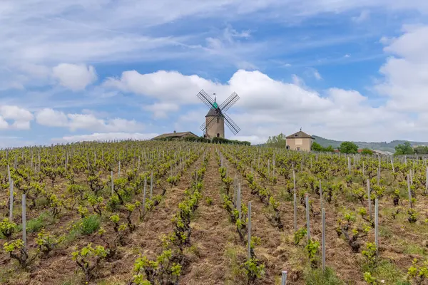 stock image Windmill (Moulin a vent de Romaneche-Thorins), Chenas, Beaujolais