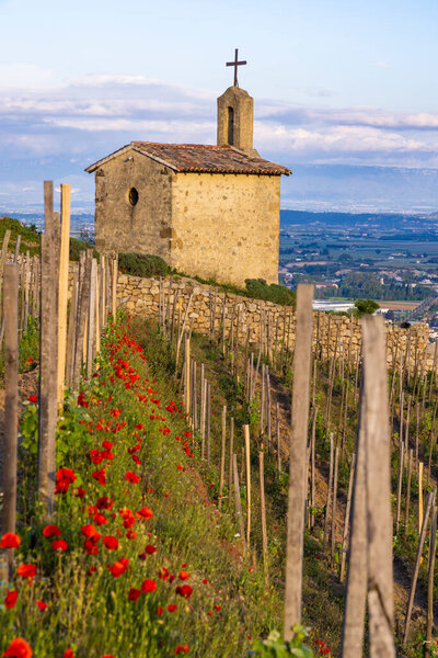 Grand cru vineyard and Chapel of Saint Christopher, Tain l'Hermitage