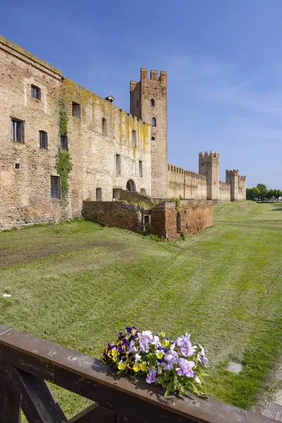 View Ancient Walls Montagnana Padova Province Veneto Italy — Stock Photo, Image