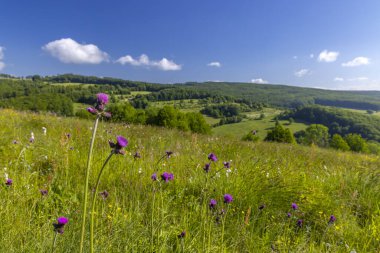 Stary Hrozenkov yakınlarındaki Beyaz Karpatlar 'da tipik bahar manzarası