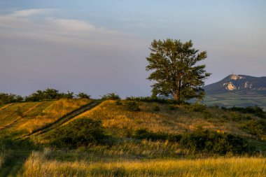 Dolni Dunajovice yakınlarındaki Palava manzarası
