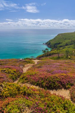 Cap de la Chevre 'deki manzara, Crozon