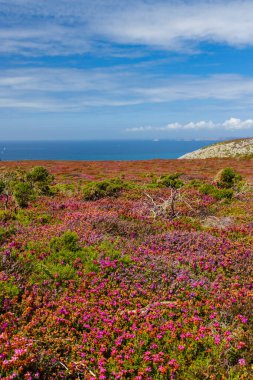 Cap de la Chevre 'deki manzara, Crozon