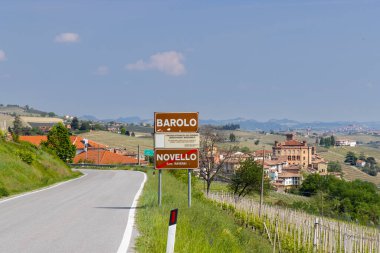 Barolo yakınlarındaki tipik üzüm bağları, Barolo şarap bölgesi, Cuneo ili.