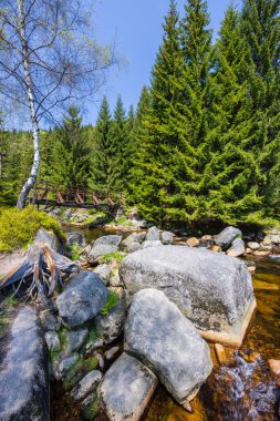 Karlovsky yakınlarındaki ilkbahar manzarası, Çek ve Polonya sınırı