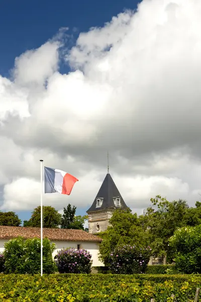Typical Vineyards Chateau Tronquoy Saint Estephe Bordeaux — Stock Photo, Image