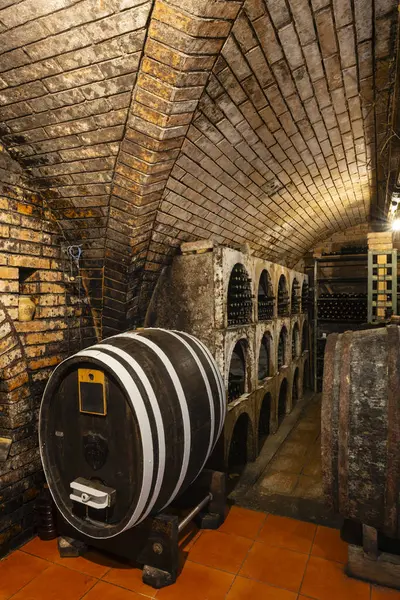 Wine Cellars Barrels Ivan Southern Moravia — Stock Photo, Image