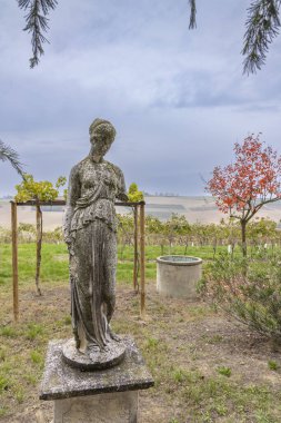 Castello di Razzano ve Alfiano Natta yakınlarındaki tipik üzüm bağları, Barolo şarap bölgesi, Piedmont bölgesi, İtalya