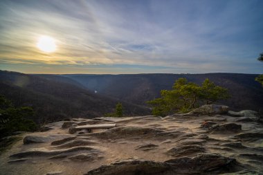 Popice yakınlarındaki Sealsfielduv kamen, NP Podyji, Güney Moravya, Çek Cumhuriyeti
