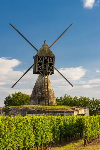 Windmill Tranchee Vineyard Montsoreau Pays Loire France — Stock Photo, Image