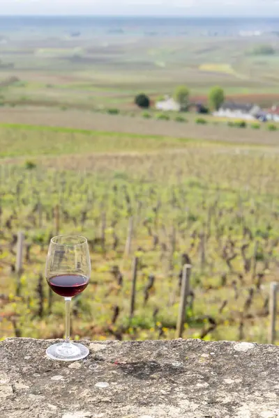 Szklanka Wina Pinot Noir Red Wczesnowiosennych Winnicach Pobliżu Aloxe Corton — Zdjęcie stockowe