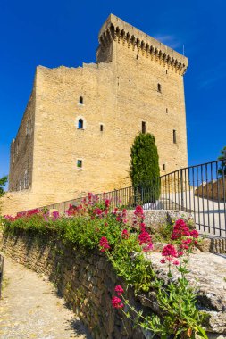 Chateauneuf-du-Pape Kalesi kalıntıları, Cotes du Rhone, Fransa