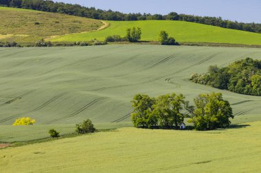 Strazovice, Güney Moravya, Çek Cumhuriyeti yakınlarındaki St. Barborkas şapeli manzaralı