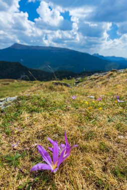 Portillo de Eraize ve Col de la Pierre St Martin yakınlarındaki tipik manzara, İspanya 'nın Pireneler kentindeki Fransız sınırı.