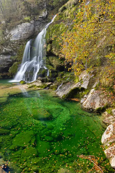 Cascata Virje Slap Virje Parco Nazionale Del Triglavski Slovenia — Foto Stock