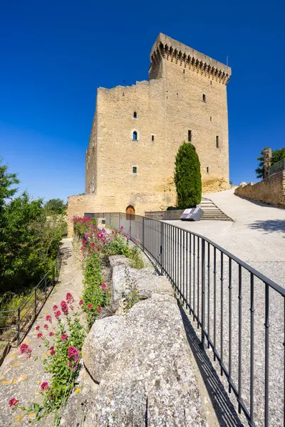 stock image Chateauneuf-du-Pape castle ruins, Cotes du Rhone, France