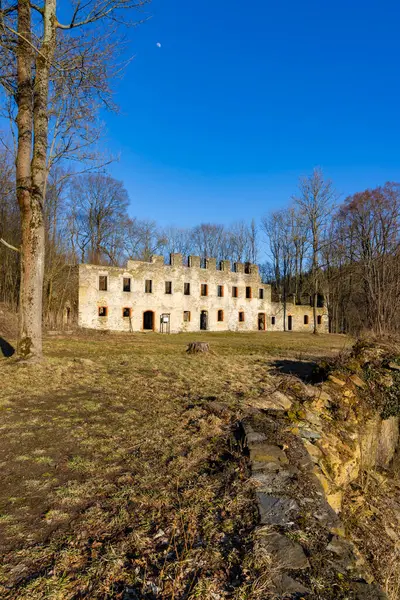 Ruiny Dolnych Górnych Zamków Podhradi Pobliżu Czechy Zachodnie Czechy Obrazek Stockowy