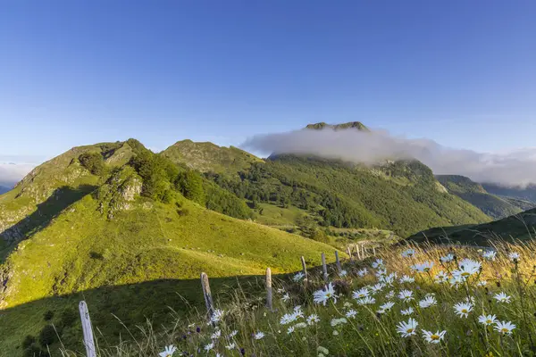 Krajobraz Pobliżu Col Agnes Departament Ariege Pireneje Francja Zdjęcie Stockowe