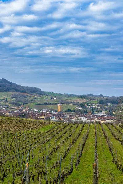 Winnice Miastem Arbois Departament Jura Franche Comte Francja Obrazek Stockowy