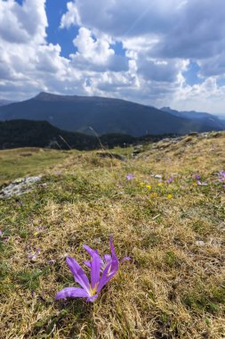 Portillo de Eraize ve Col de la Pierre St Martin yakınlarındaki tipik manzara, İspanya 'nın Pireneler kentindeki Fransız sınırı.