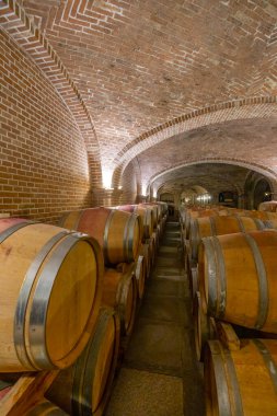 Canale, Piedmont, İtalya 'da şarap mahzeni