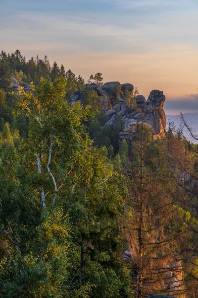 Peisaj Într Rezervație Naturală Broumovske Steny Estul Boemiei Republica Cehă Imagine de stoc