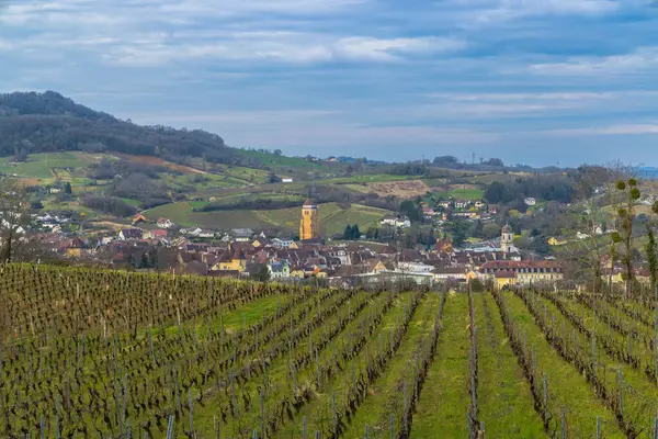 Wijngaarden Met Arbois Stad Departement Jura Franche Comte Frankrijk Stockfoto