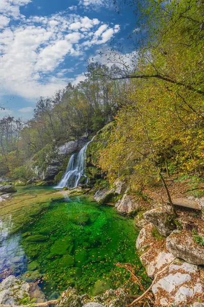 Vízesés Virje Slap Virje Triglavski Nemzeti Park Szlovénia Jogdíjmentes Stock Képek