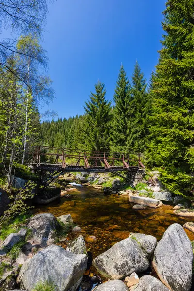 Karlovsky Yakınlarındaki Ilkbahar Manzarası Çek Polonya Sınırı Jizerky Dağları Çek Stok Resim