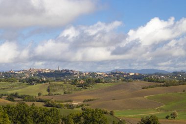 İtalya 'nın Montalcino kasabası yakınlarındaki Toskana' nın en ünlü üzüm bağları.