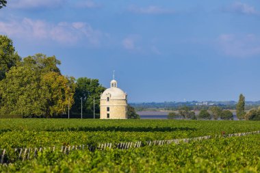 Chateau LaTour, Bordeaux, Aquitaine, Fransa yakınlarındaki tipik üzüm bağları