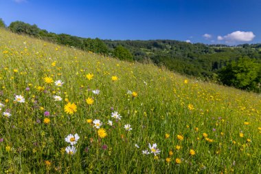 Stary Hrozenkov, Güney Moravya, Çek Cumhuriyeti yakınlarındaki Beyaz Karpatlar 'daki Tipik Bahar manzarası